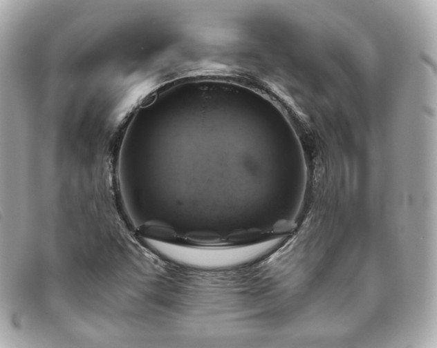 X0000093491455200710261108