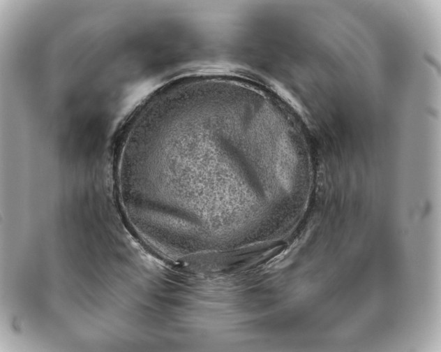 X0000093491456200710261108