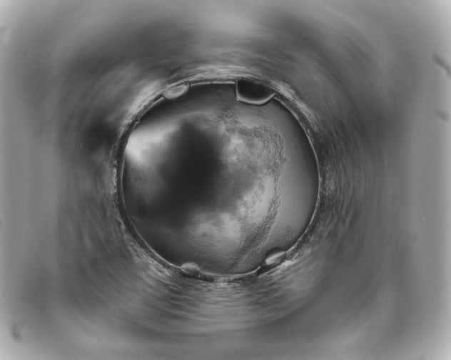 X0000093491459200710261108