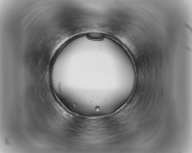 X0000093491460200710261108