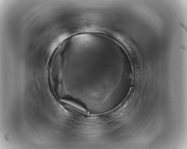 X0000093491463200710261108