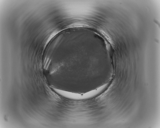 X0000093491465200710261108