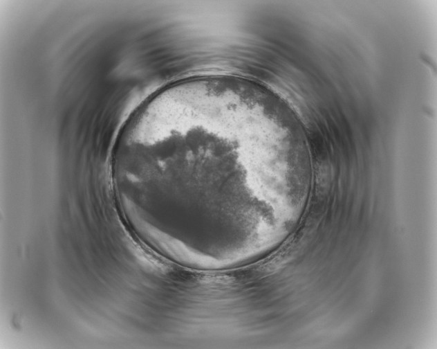 X0000093491466200710261108