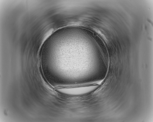 X0000093491467200710261108