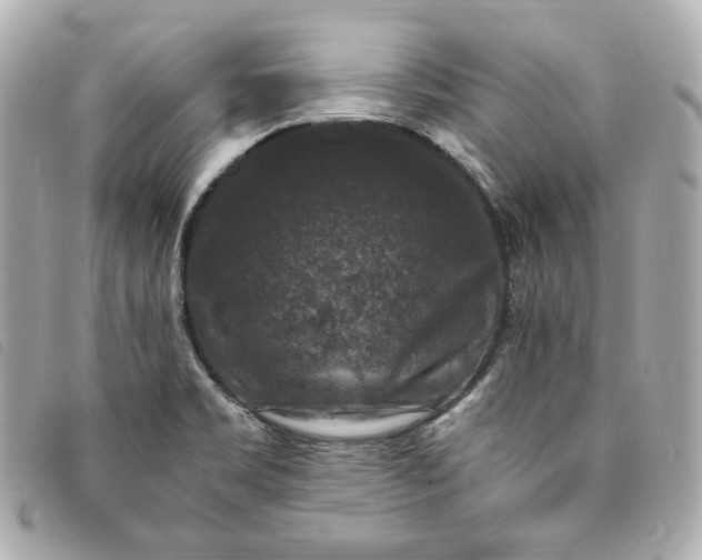 X0000093491469200710261108