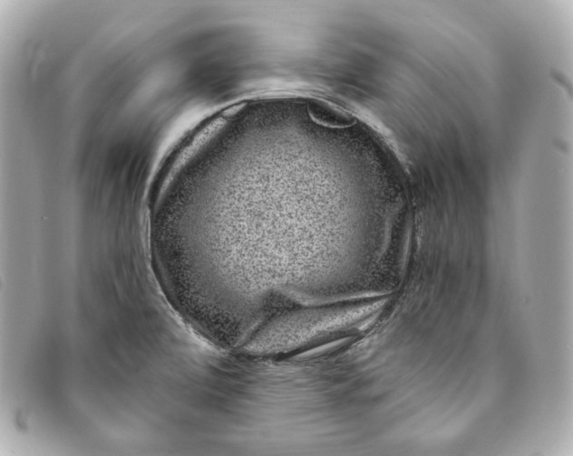 X0000093491472200710261108