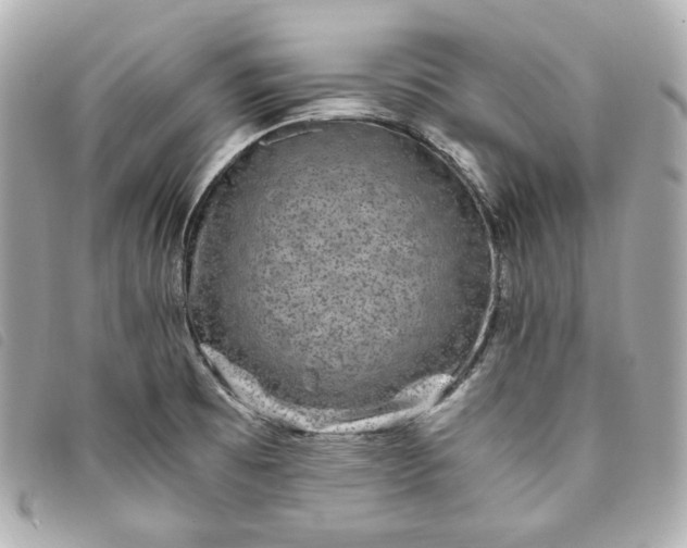 X0000093491473200710261108