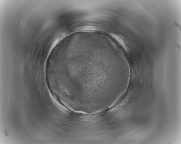 X0000093491475200710261108