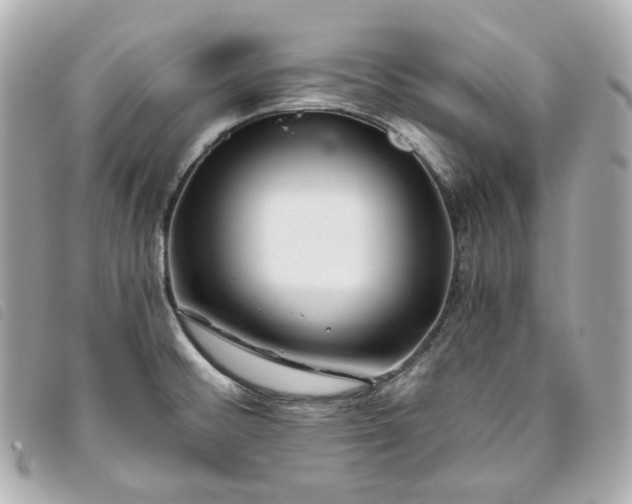 X0000093491476200710261108