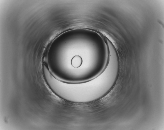 X0000093491477200710261108