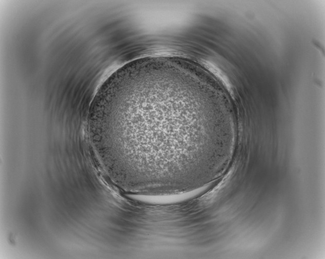 X0000093491481200710261108