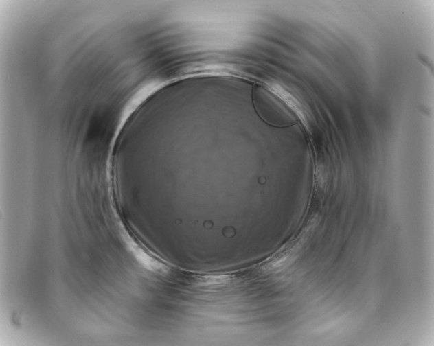 X0000093491482200710261108