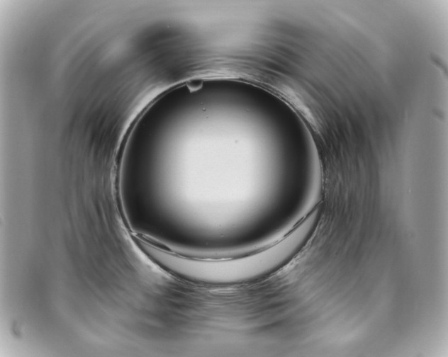 X0000093491484200710261108