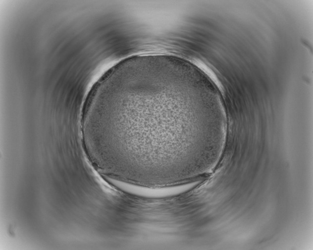 X0000093491485200710261108