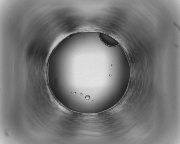 X0000093491486200710261107