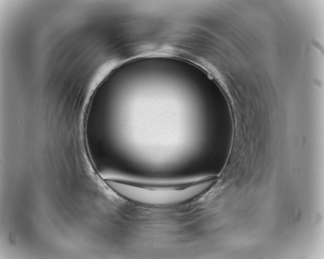 X0000093491488200710261107