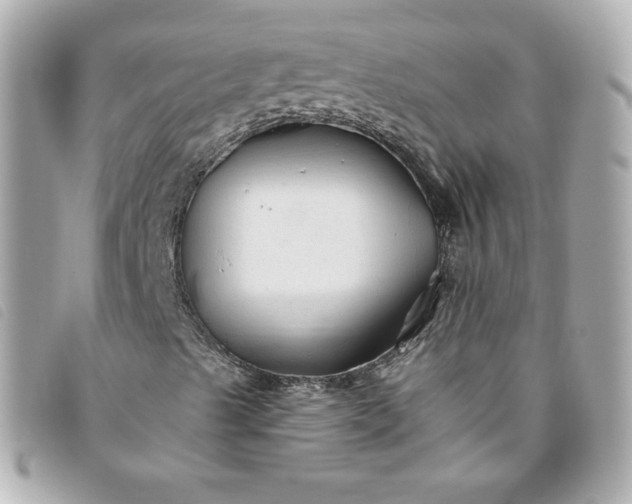 X0000093491489200710261107