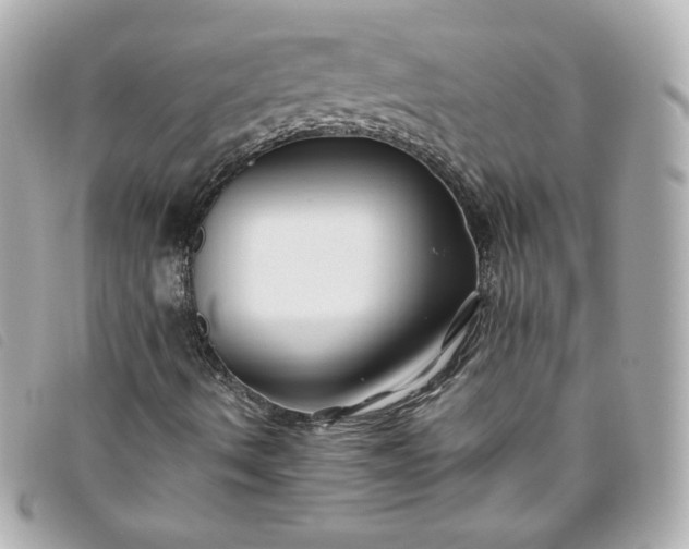 X0000093491490200710261107