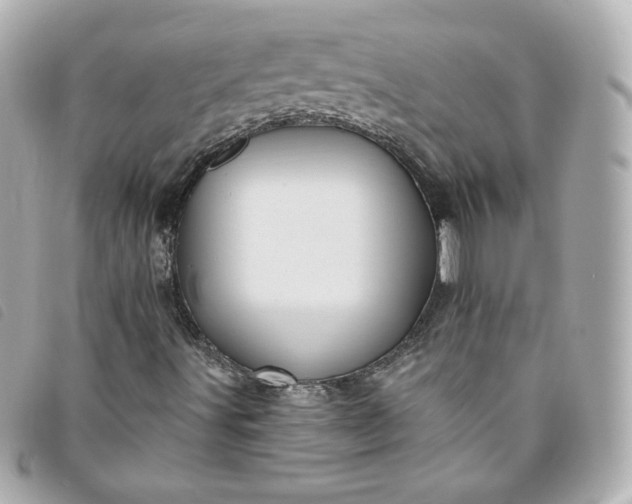 X0000093491491200710261107