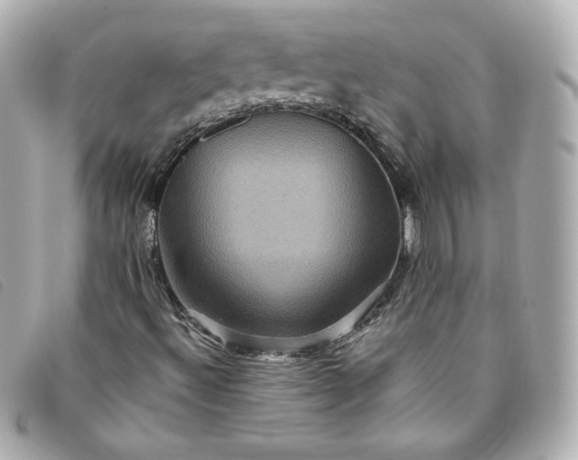 X0000093491492200710261107