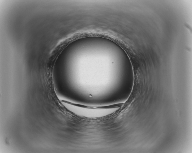 X0000093491494200710261107