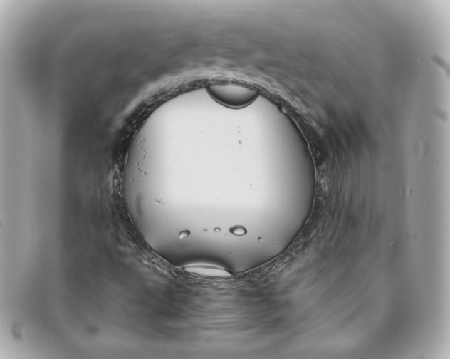 X0000093491495200710261107