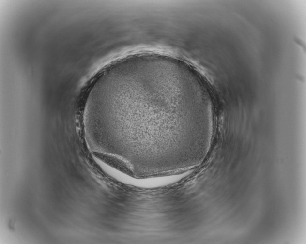 X0000093491496200710261107