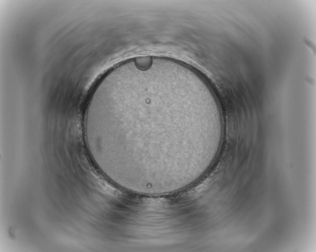 X0000093491498200710261107