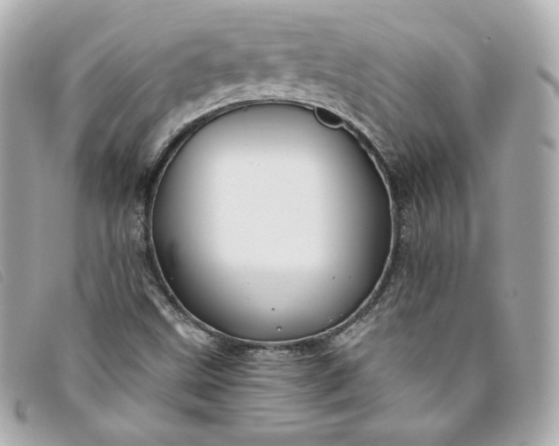 X0000093491499200710261107