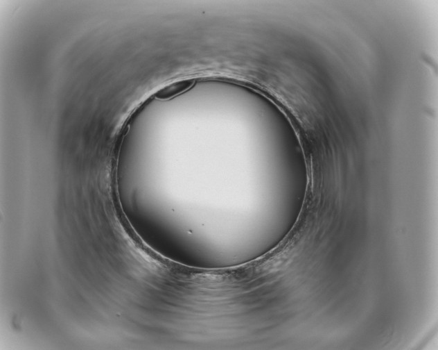 X0000093491500200710261107