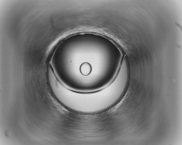 X0000093491502200710261107