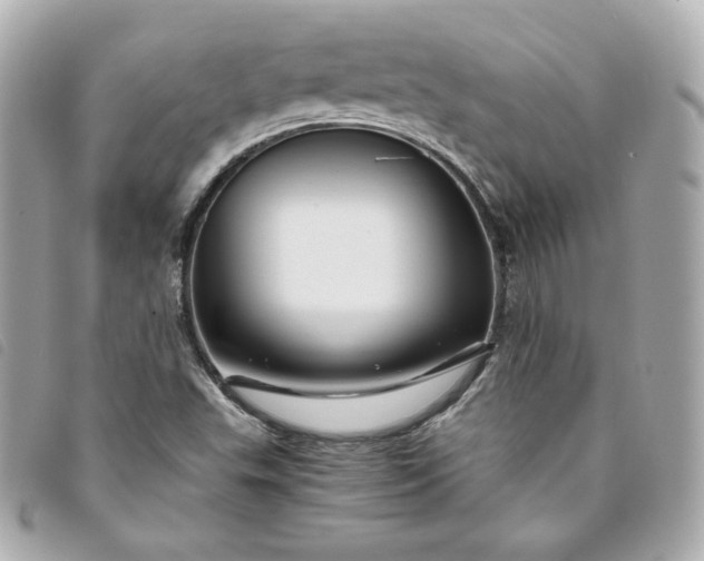 X0000093491503200710261107