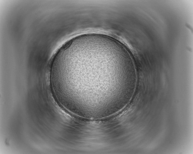 X0000093491504200710261107