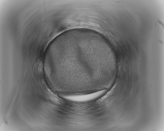 X0000093491505200710261107