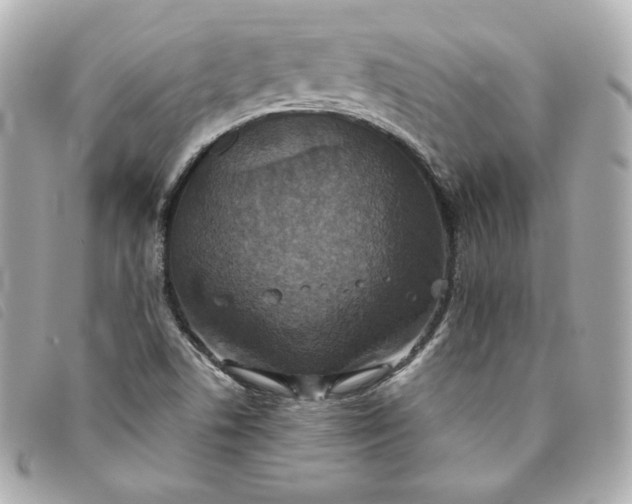 X0000093491506200710261107