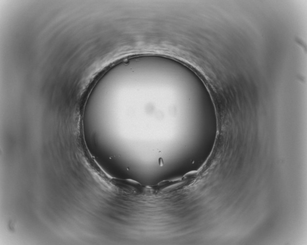 X0000093491507200710261107