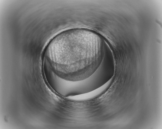 X0000093491508200710261107