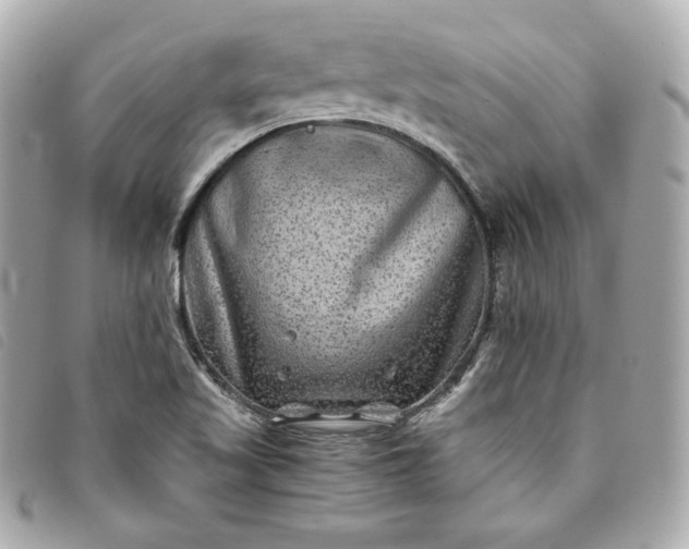 X0000093491509200710261107