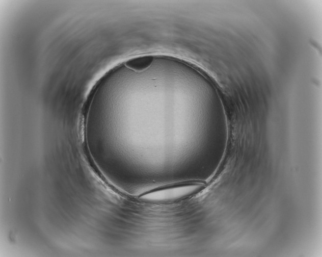 X0000093491510200710261107