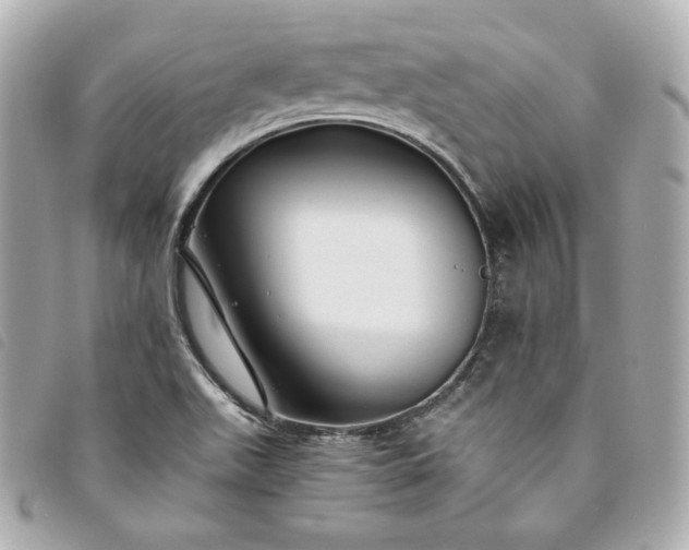 X0000093491511200710261107