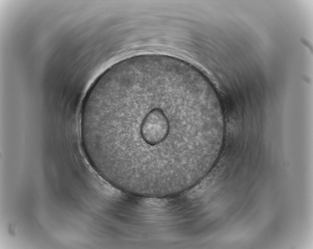 X0000093491514200710261107