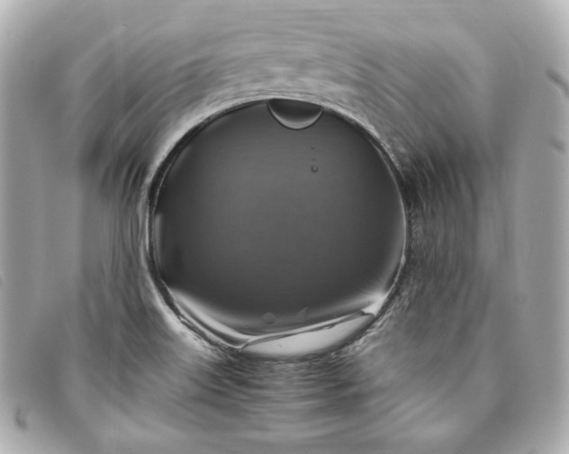 X0000093491515200710261107