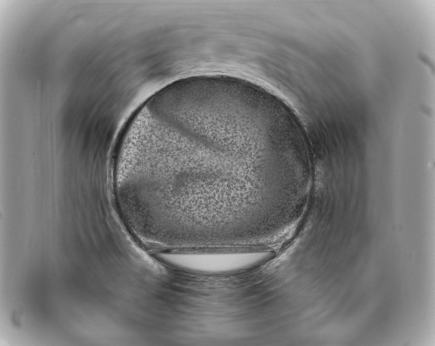 X0000093491517200710261107