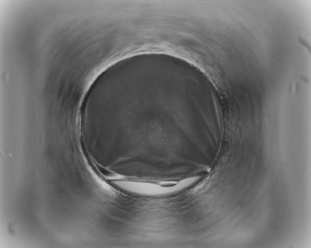 X0000093491519200710261107