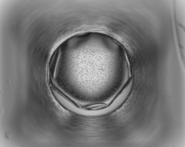 X0000093491520200710261107