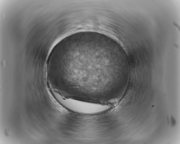 X0000093491522200710261107