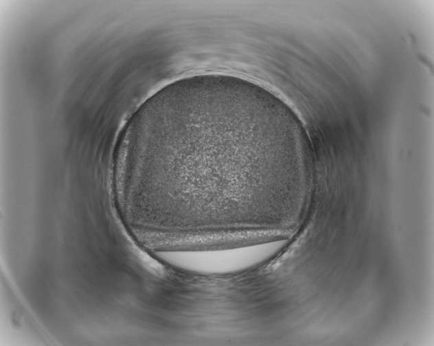 X0000093491525200710261107