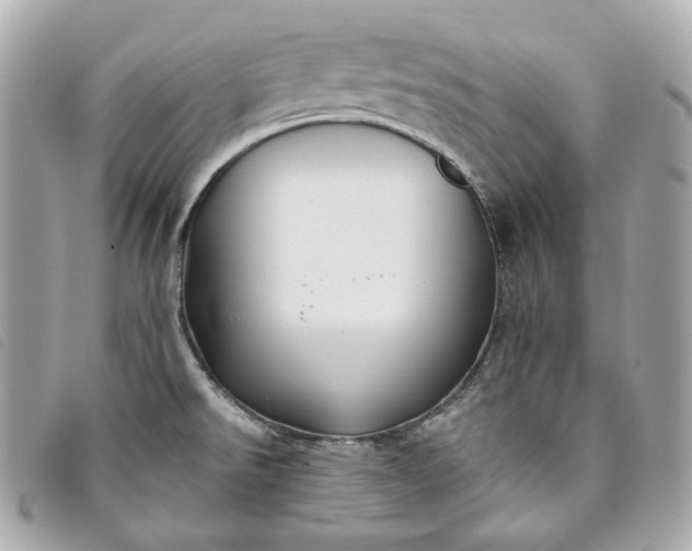 X0000093491526200710261107