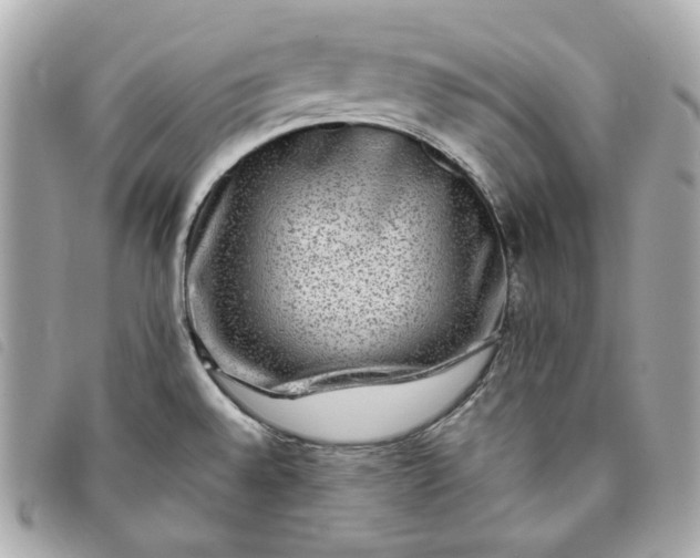 X0000093491528200710261107