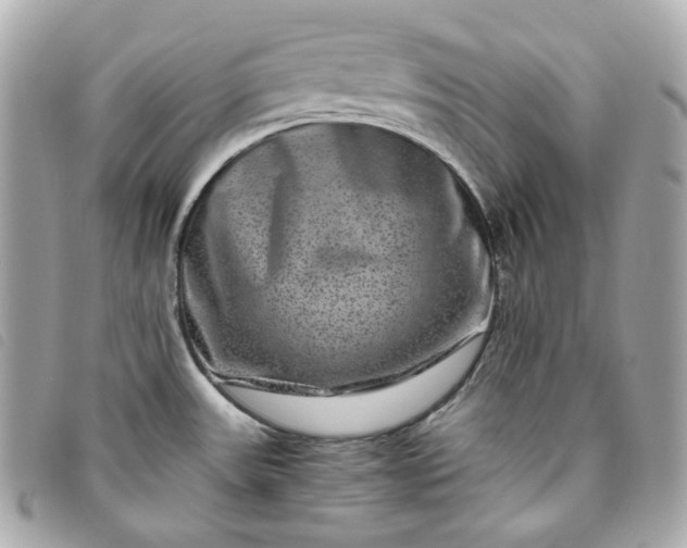 X0000093491531200710261107